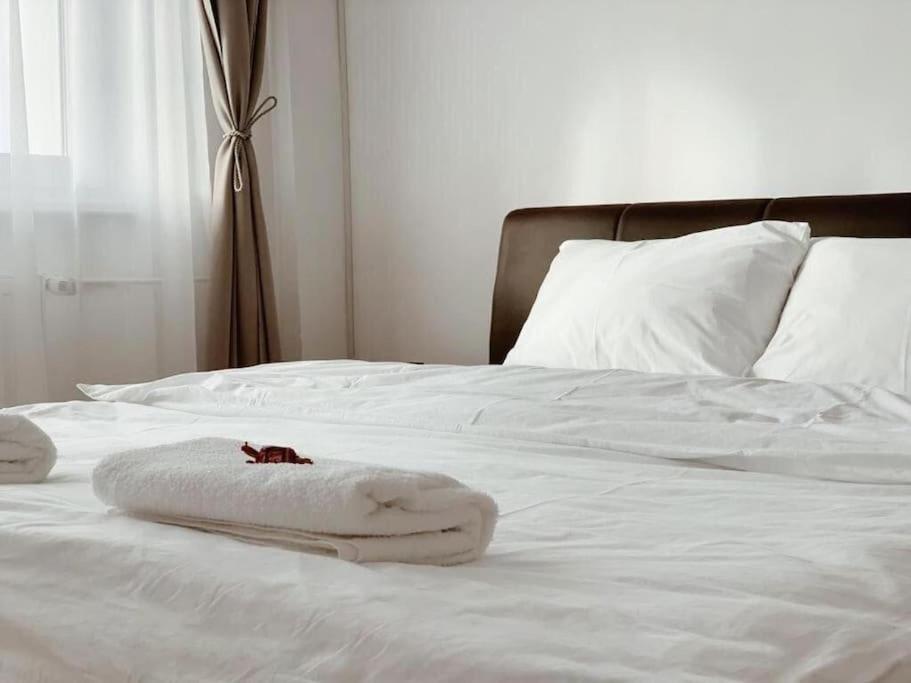 Joy City Stay Victoriei 7E-30 2 Timisoara Exterior foto